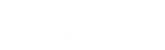 netgame